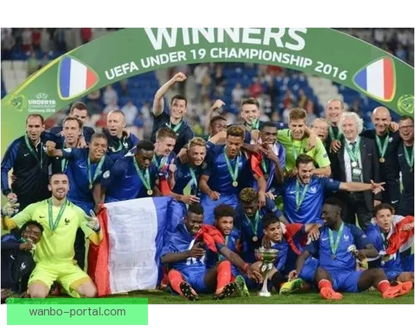 围绕世界杯买球入口全面解析赛事预测技巧与安全平台选择指南